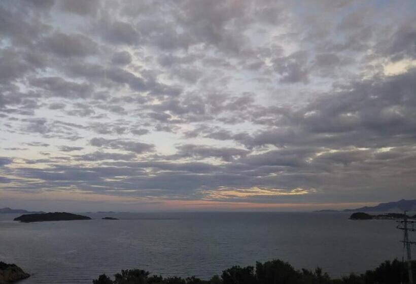 Hostel ペンションみかんの郷