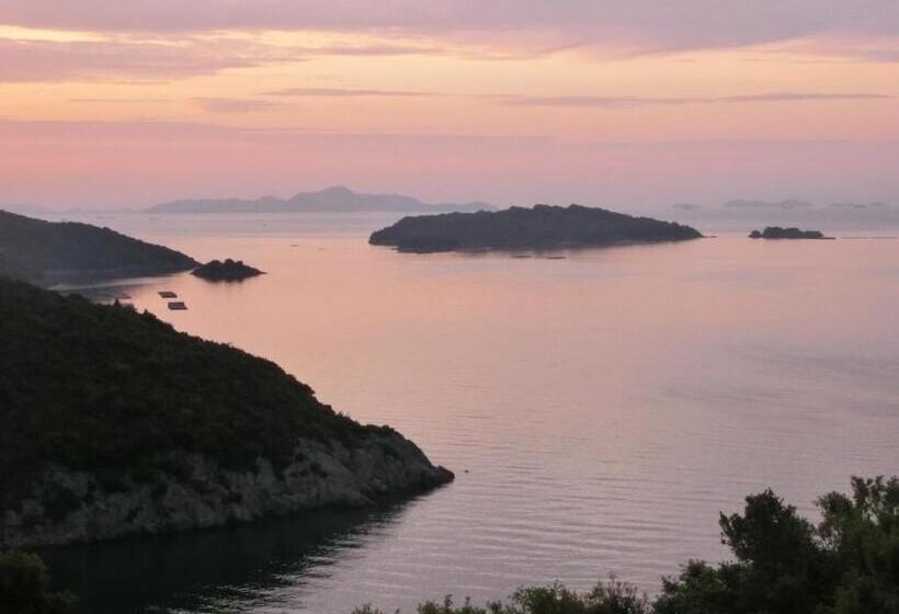 Hostel ペンションみかんの郷