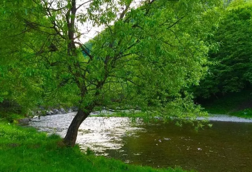 Retkeilymaja Minihotel Zolotoe Runo