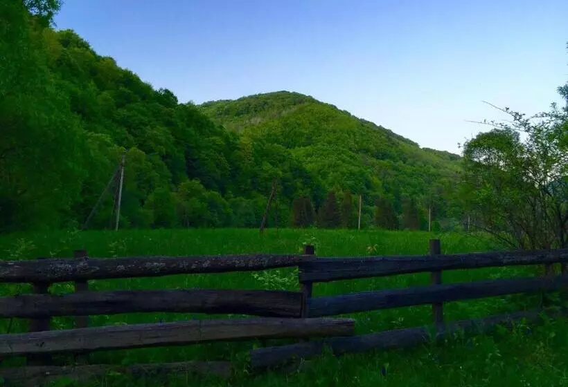 Retkeilymaja Minihotel Zolotoe Runo