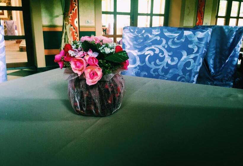 فندق صغير Minihotel Zolotoe Runo