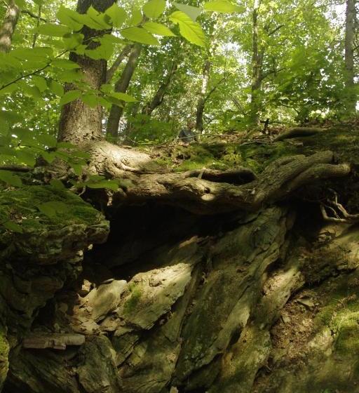 住宿加早餐  Gîte Au Pied Des Appalaches