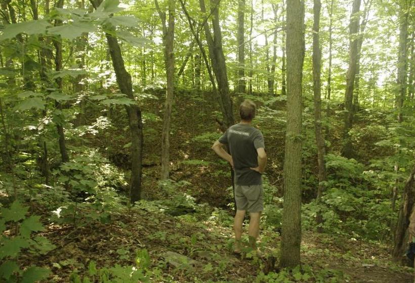 住宿加早餐  Gîte Au Pied Des Appalaches