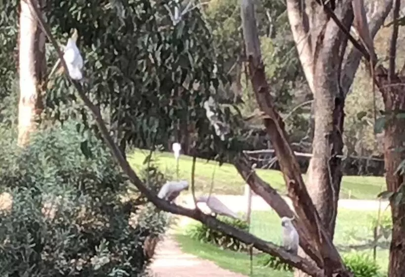 ベッドアンドブレックファースト Stephanie’s Country Cottages