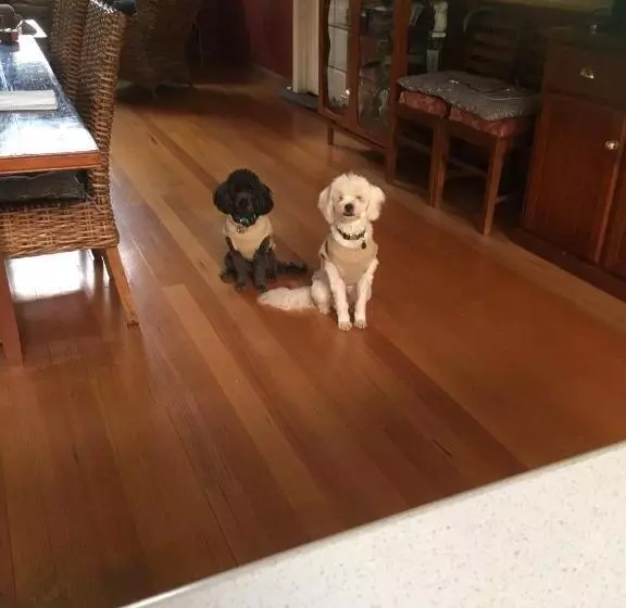 ベッドアンドブレックファースト Stephanie’s Country Cottages