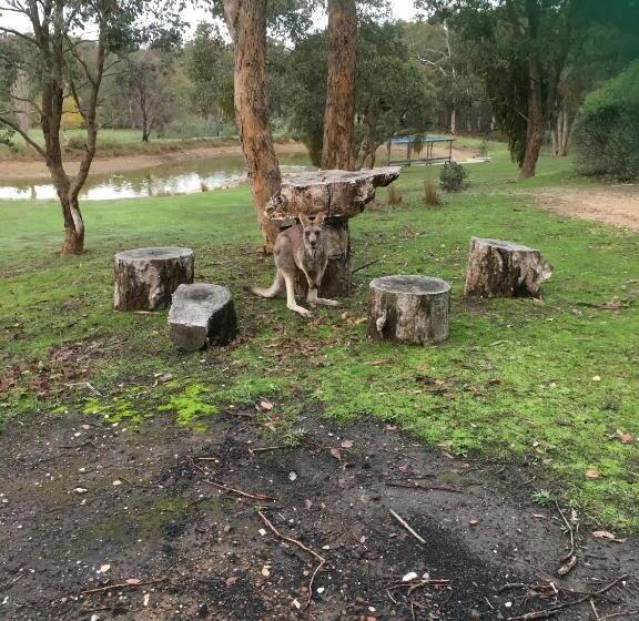 Bed and Breakfast Stephanie’s Country Cottages