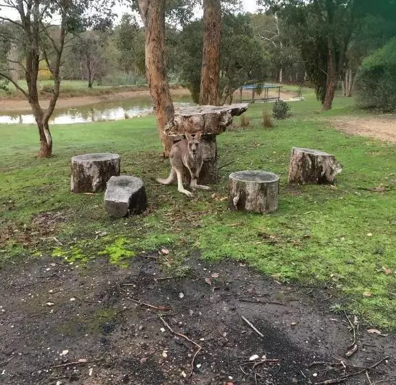 ベッドアンドブレックファースト Stephanie’s Country Cottages