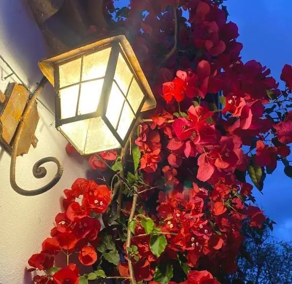 Hotelli Campestre El Portón De Los Jeroglíficos