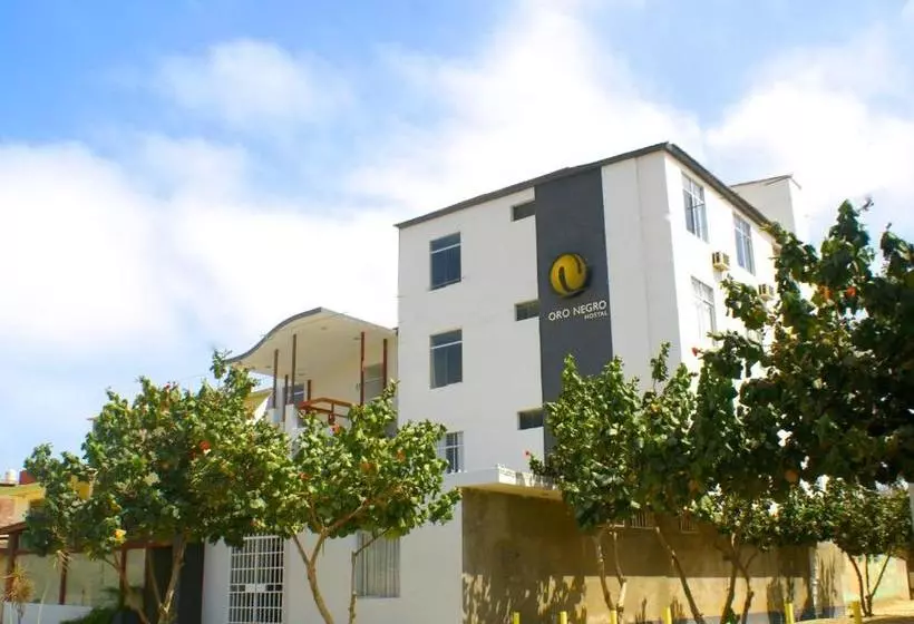ホテル Hostal Oro Negro