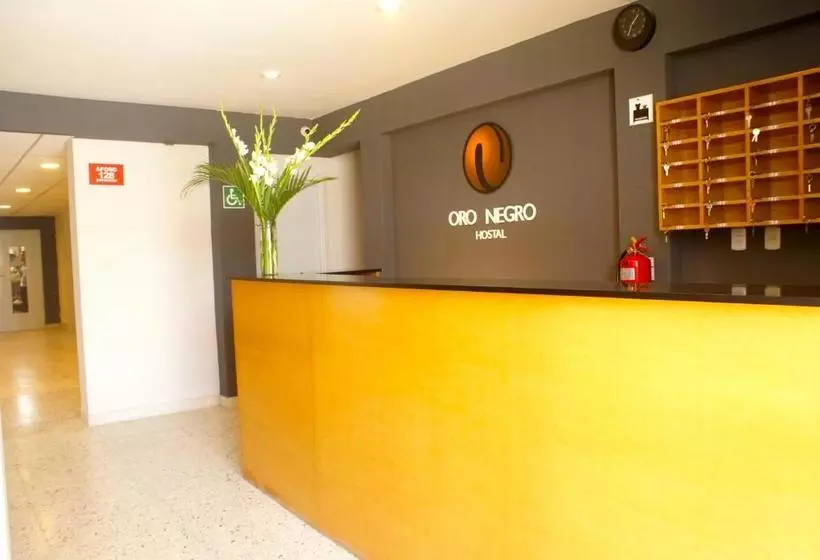 ホテル Hostal Oro Negro