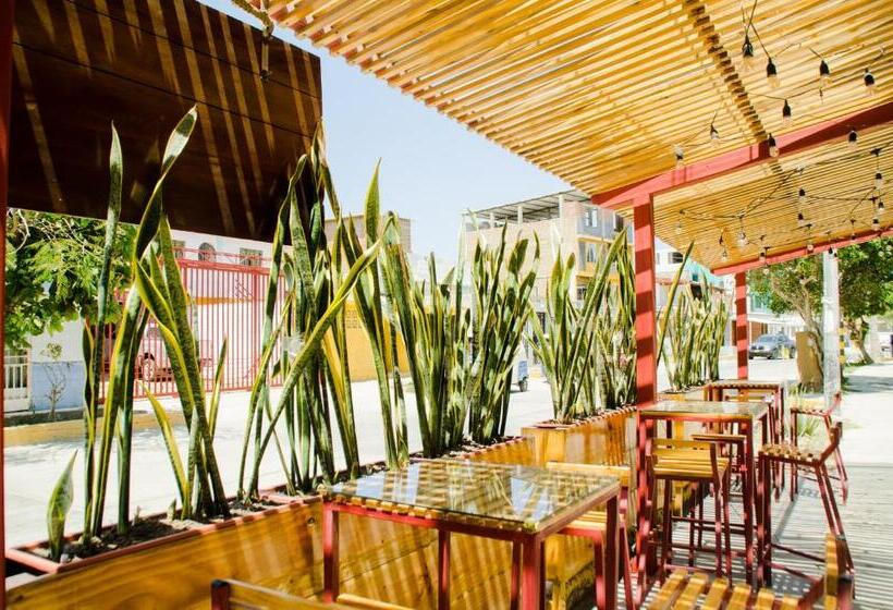 فندق Hostal Oro Negro