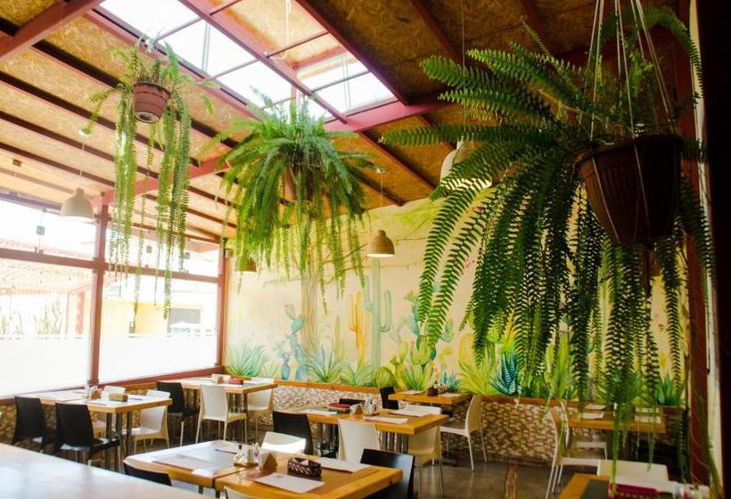 فندق Hostal Oro Negro