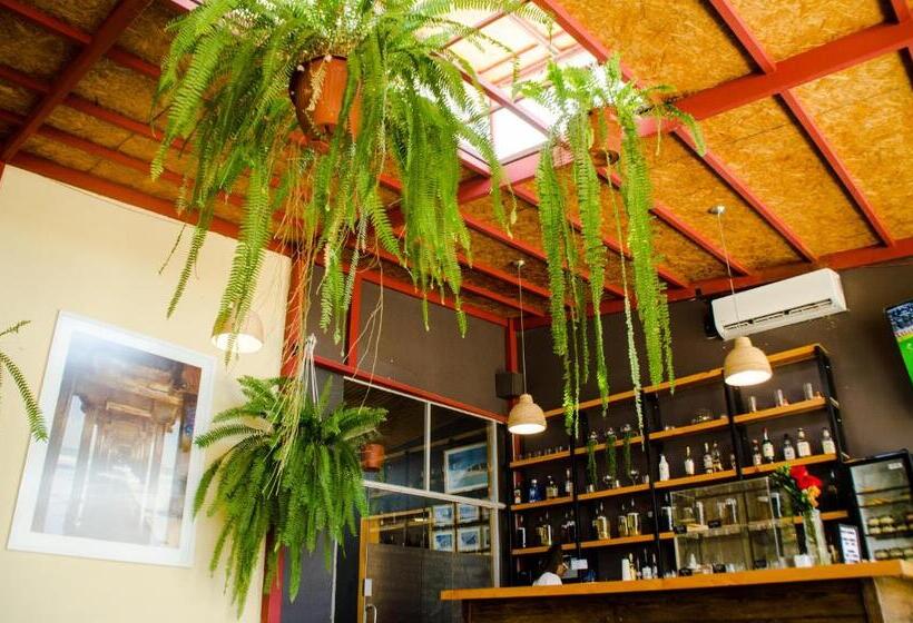 فندق Hostal Oro Negro