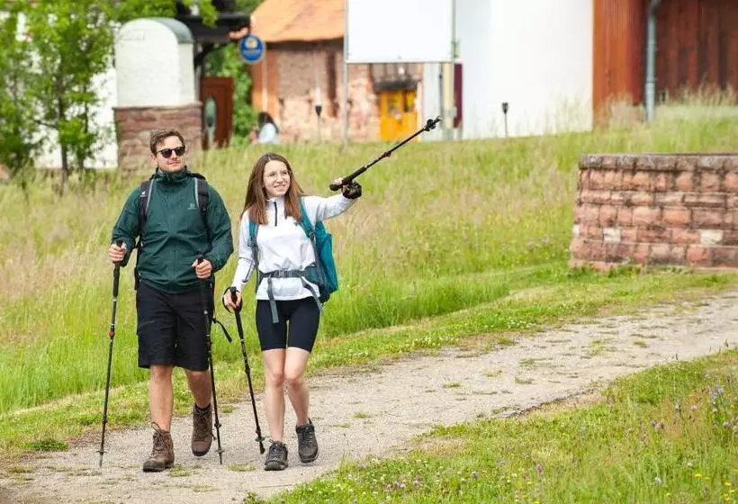 ホテル Landgasthof Oberschnorrhof