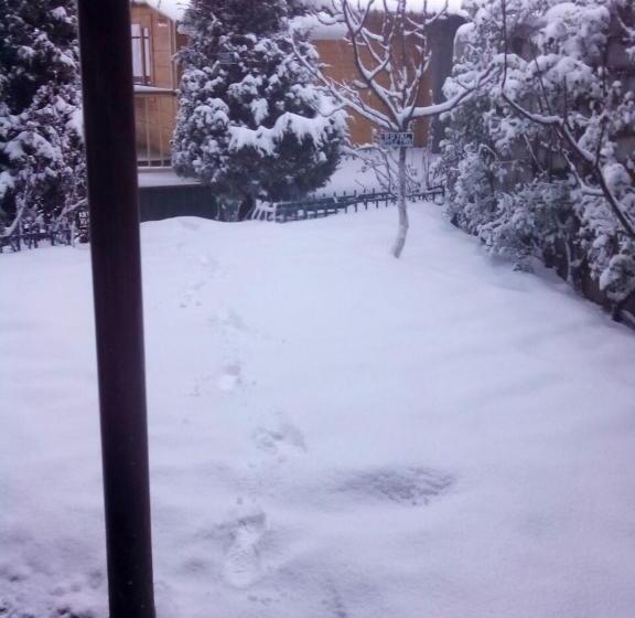 فندق Snow King Retreat  Himalayan View , Revolving Restaurant , Pinewood Cottages , Huts , Villas , Rooms