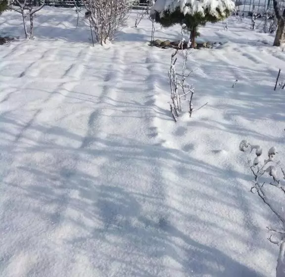 ホテル Snow King Retreat  Himalayan View , Revolving Restaurant , Pinewood Cottages , Huts , Villas , Rooms