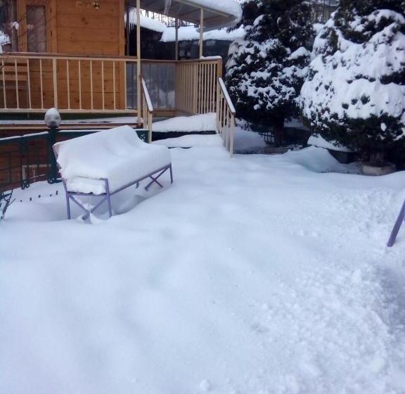 فندق Snow King Retreat  Himalayan View , Revolving Restaurant , Pinewood Cottages , Huts , Villas , Rooms