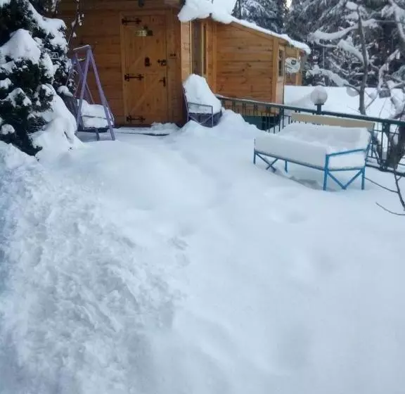 ホテル Snow King Retreat  Himalayan View , Revolving Restaurant , Pinewood Cottages , Huts , Villas , Rooms