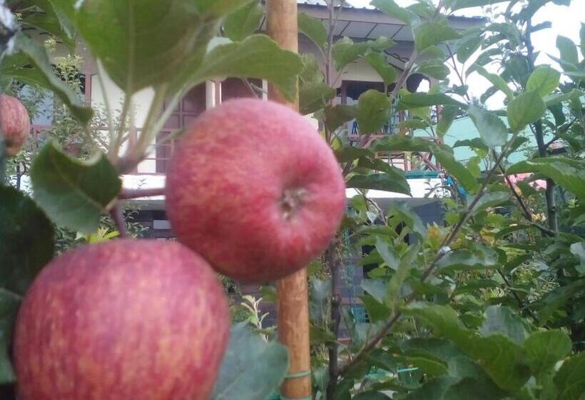 فندق Snow King Retreat  Himalayan View , Revolving Restaurant , Pinewood Cottages , Huts , Villas , Rooms