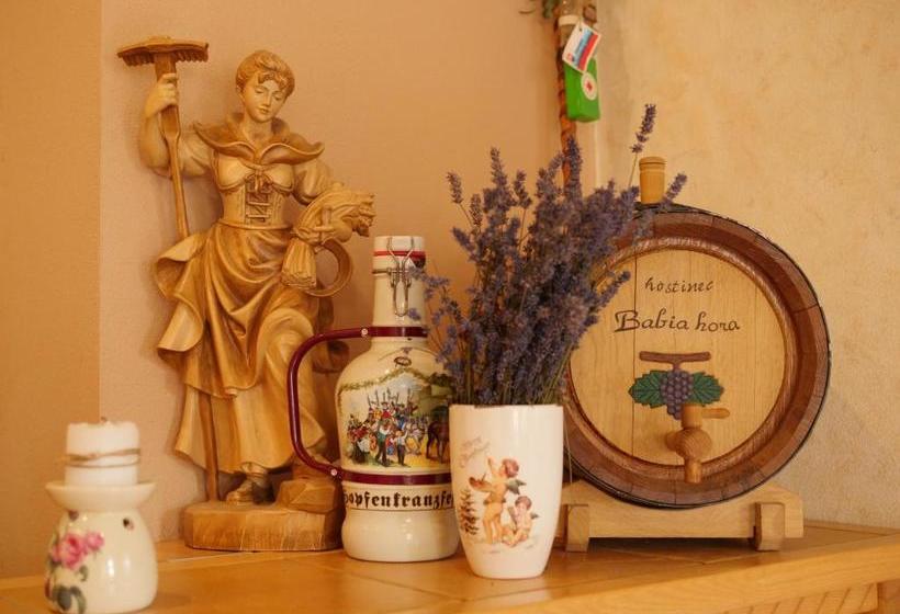 Pensão Hostinec Babia Hora