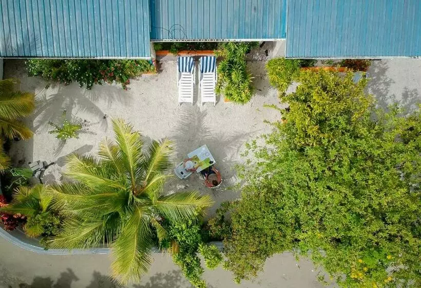 پانسیون Maclura Residence
