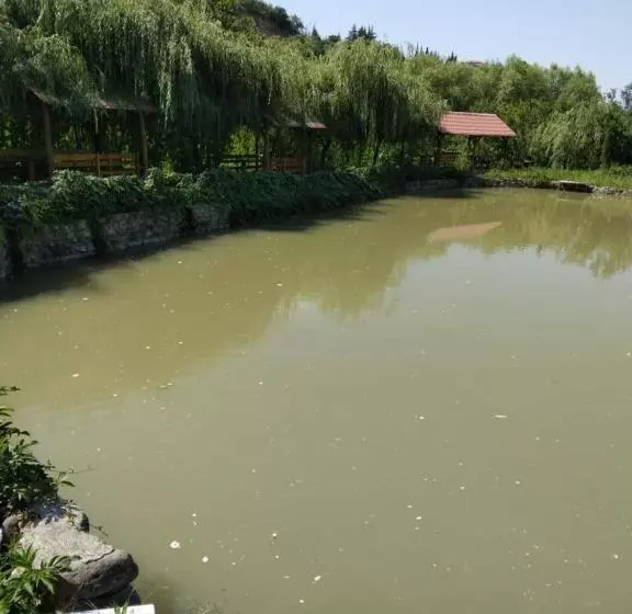 پانسیون Menua