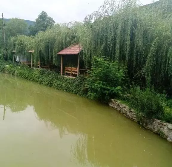 پانسیون Menua