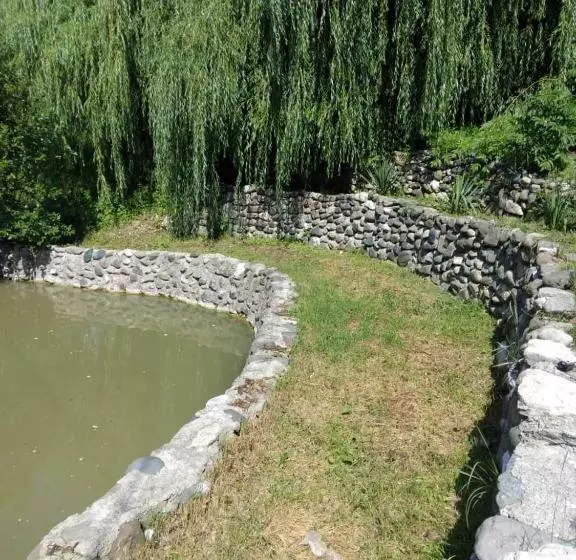 پانسیون Menua