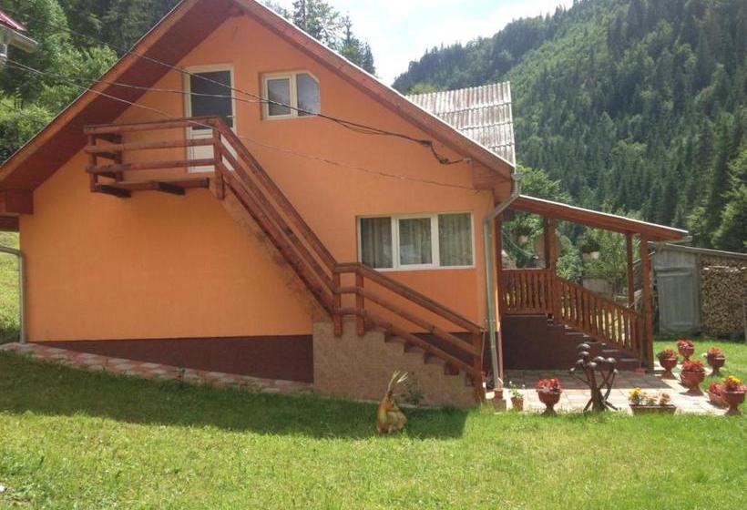 펜션 Moara Lui Ivan