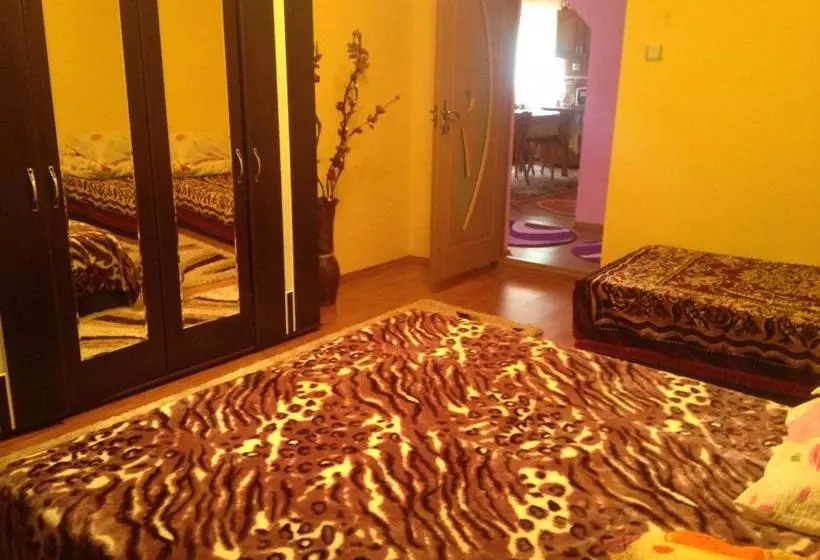 Pensiune Moara Lui Ivan