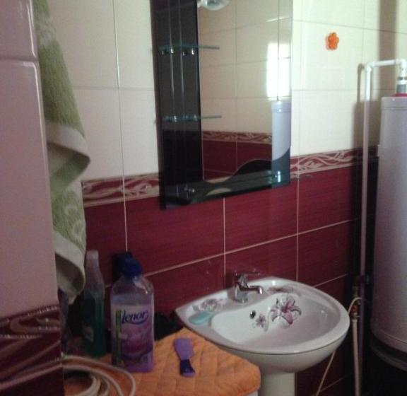 펜션 Moara Lui Ivan