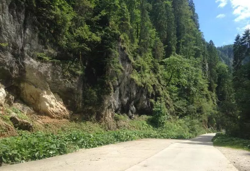 Pensiune Moara Lui Ivan