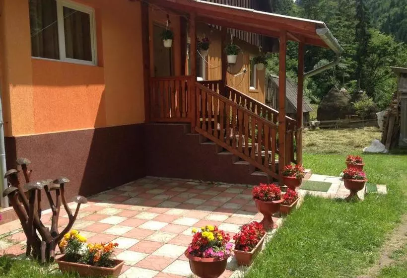 Pensiune Moara Lui Ivan