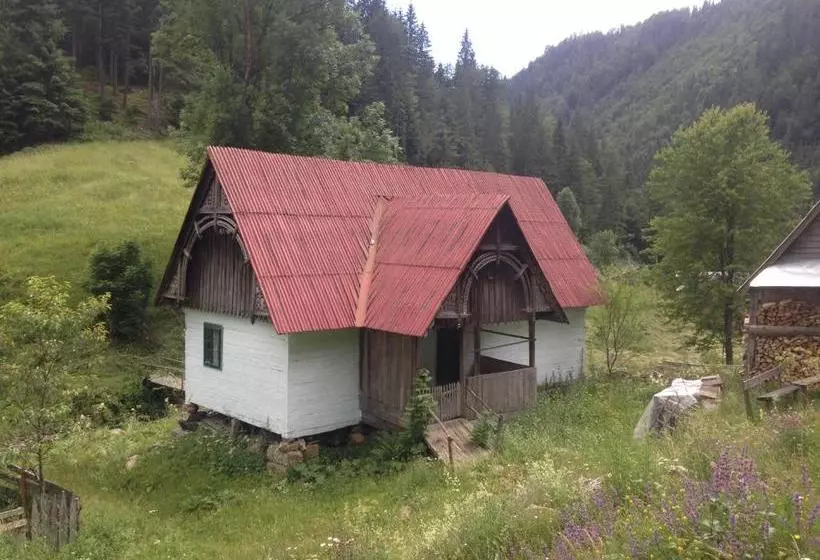 Pensiune Moara Lui Ivan