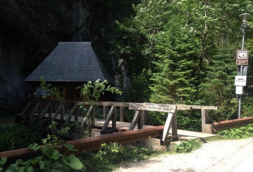 펜션 Moara Lui Ivan