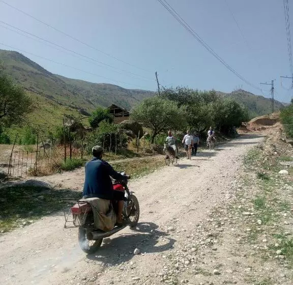 Majatalo Spring Family Guest House