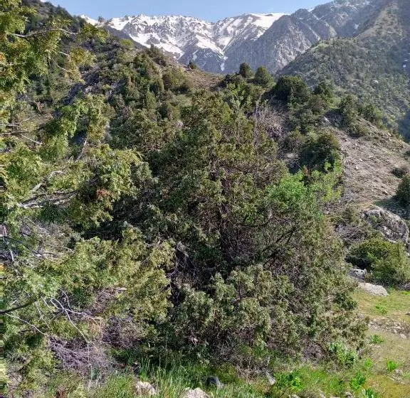 Majatalo Spring Family Guest House