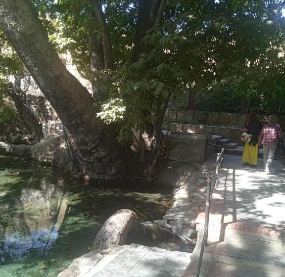 פנסיון Spring Family Guest House