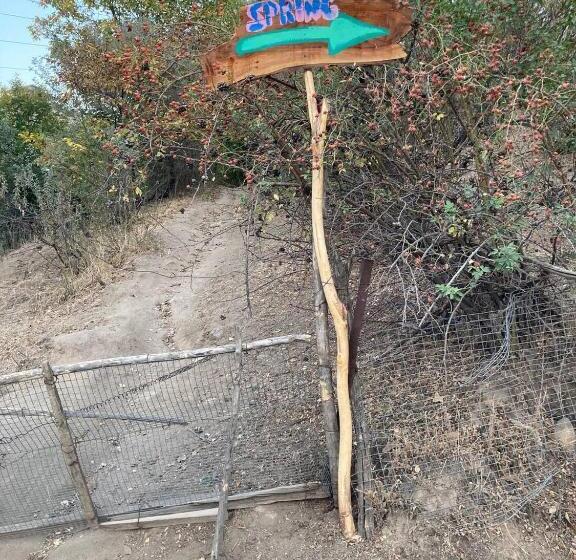 פנסיון Spring Family Guest House