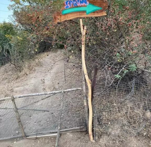 Majatalo Spring Family Guest House