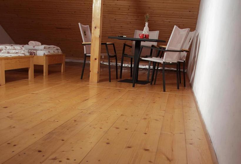 פנסיון U Dvori