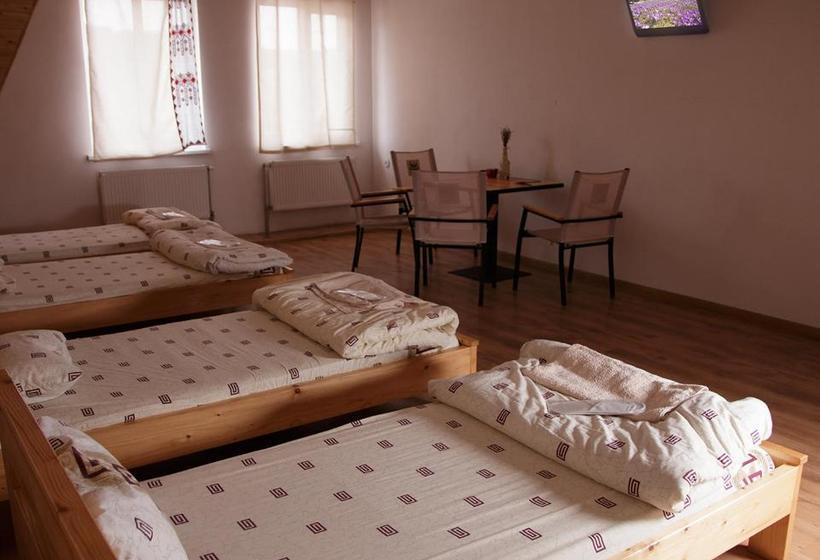 פנסיון U Dvori