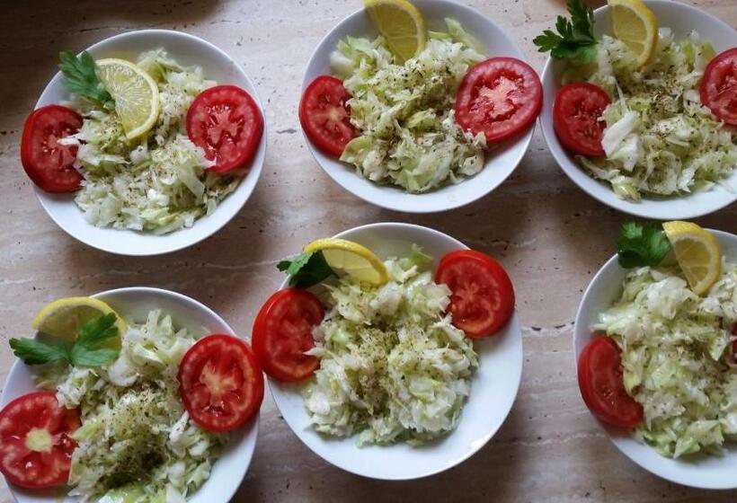 Pensiunea Steaua Nordului