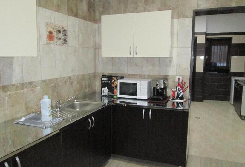 Pensiunea Steaua Nordului