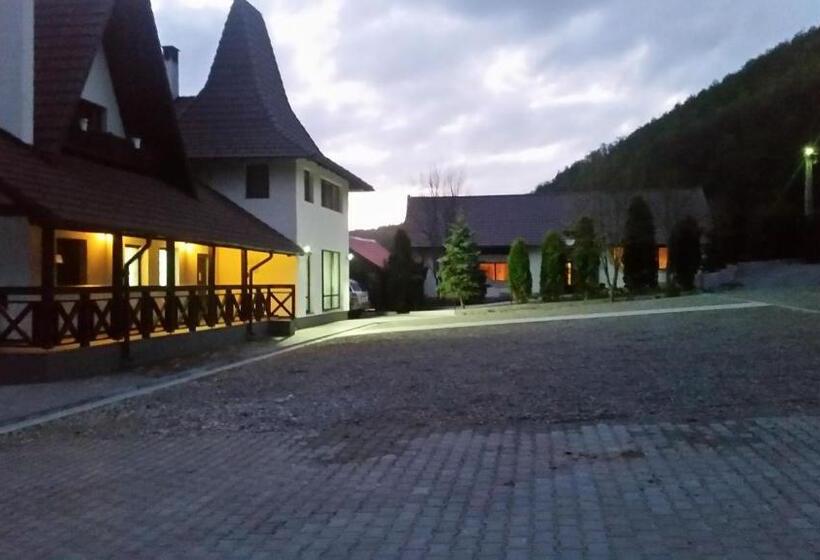 Pensiunea Steaua Nordului