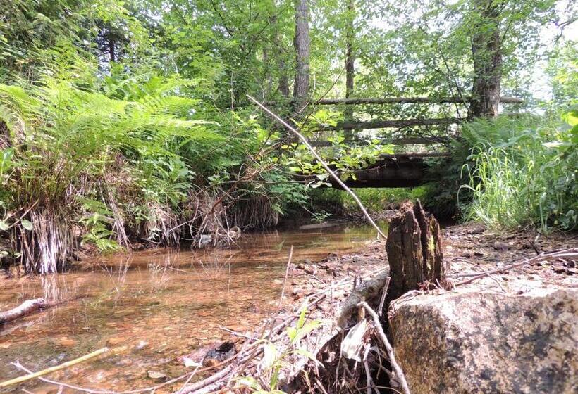 Pensiunea Steaua Nordului