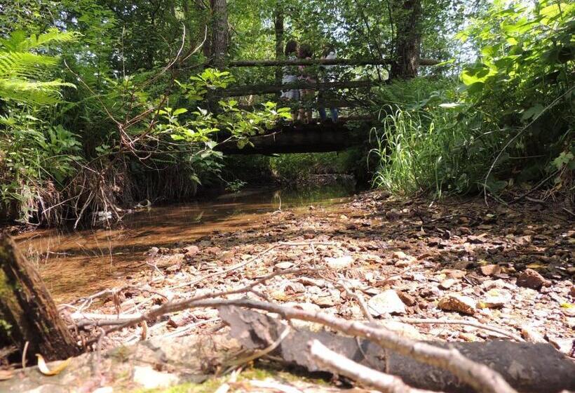 Pensiunea Steaua Nordului