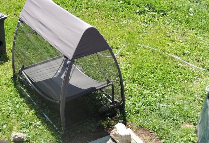 Pensiunea Steaua Nordului