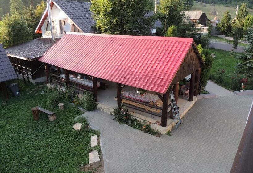 Pensiunea Steaua Nordului