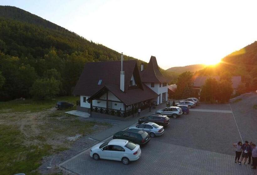 Pensiunea Steaua Nordului